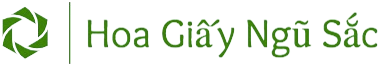 Cây Hoa Giấy Vàng Để Chậu Hoa giấy chậu Hoa giấy chậu, hoa giấy leo cổng, hoa giấy công trình